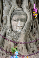 Buddha Head in tree, Ayutthaya, Thailand